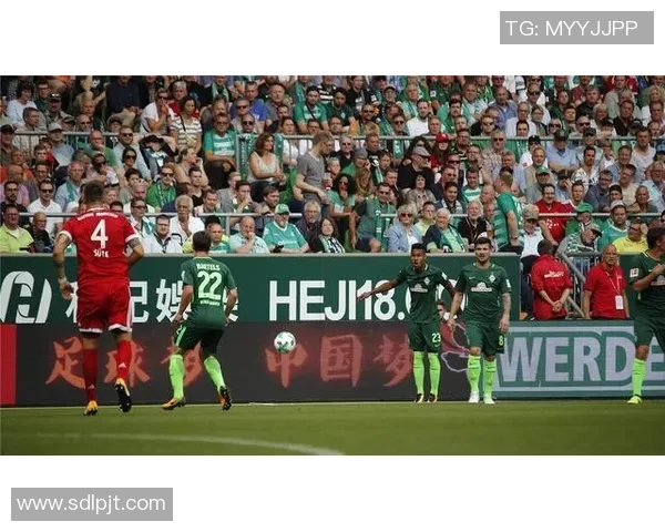 帕德博与拜仁对决分析及胜负推荐策略分享